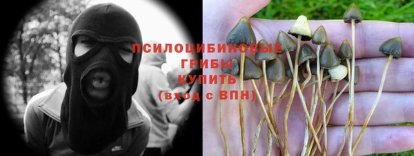 мяу мяу кристалл Каменногорск