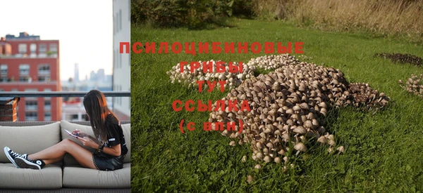 мяу мяу кристалл Каменногорск