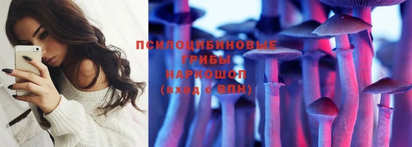 прущие грибы Инсар