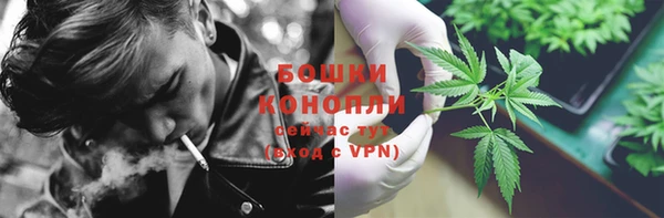 apvp Каменка