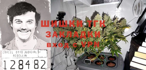 прущие грибы Инсар