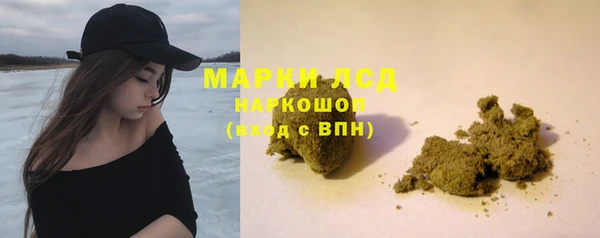 apvp Каменка