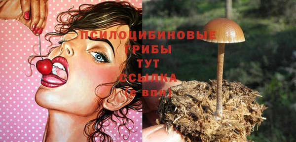 apvp Каменка
