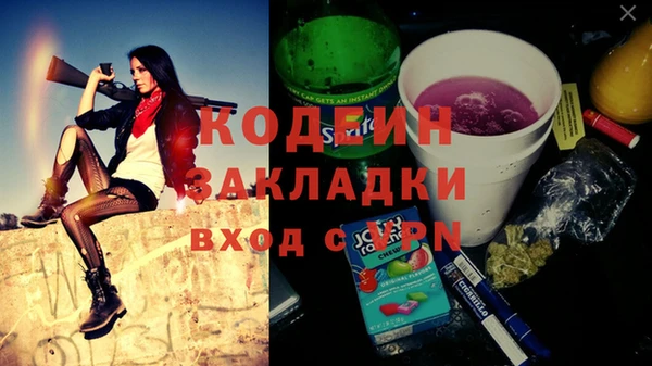 apvp Каменка