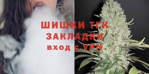 apvp Каменка