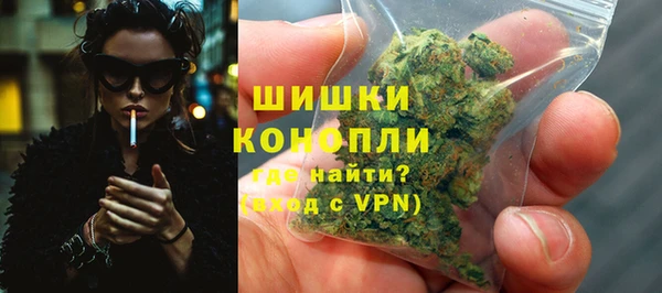 apvp Каменка