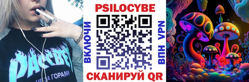 Купить  Зеленоградск  Галлюциногенные грибы мицелий 